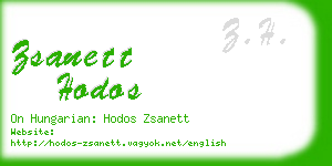 zsanett hodos business card